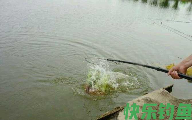 水库钓鱼