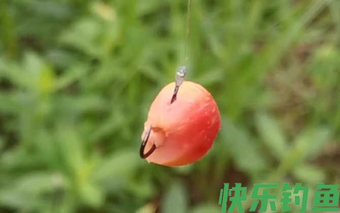 自然饵料