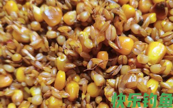 自制饵料