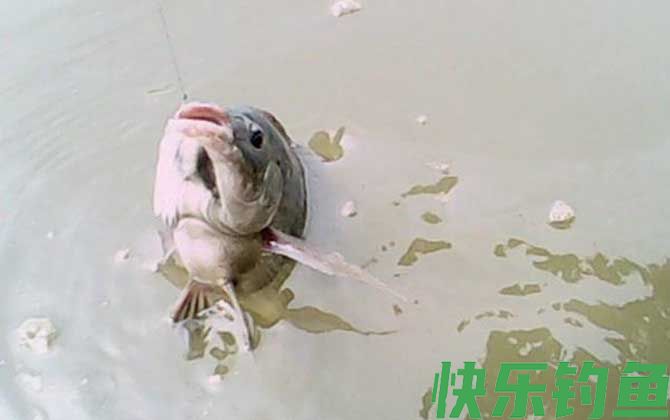 冬季钓鱼