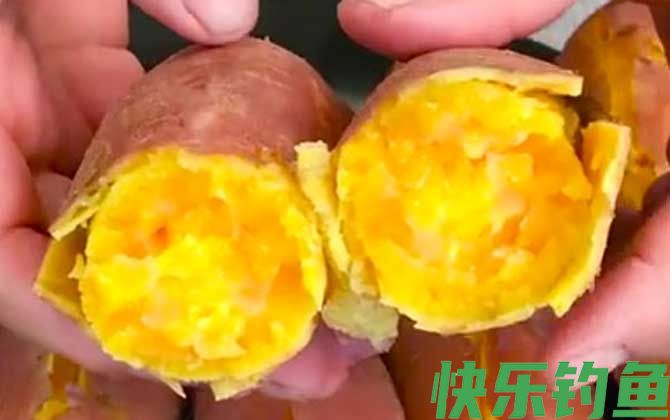 红薯钓鱼