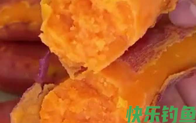 红薯钓鱼效果怎么样？(图3)