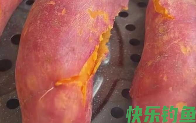 红薯钓鱼效果怎么样？(图4)
