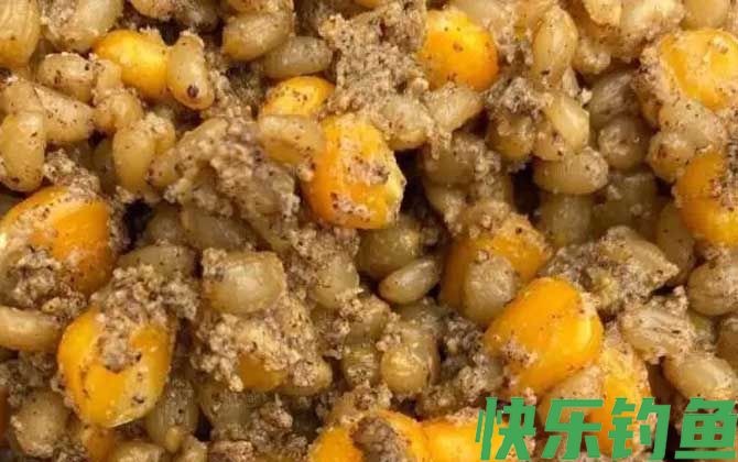 老玉米煮熟可以直接钓鱼吗？(图2)