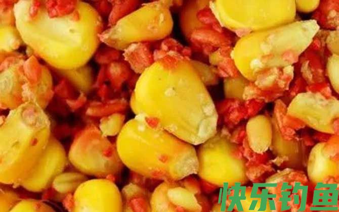 老玉米煮熟可以直接钓鱼吗？(图3)