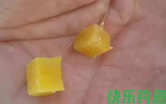 排名第一的草鱼饵料是什么？(图3)