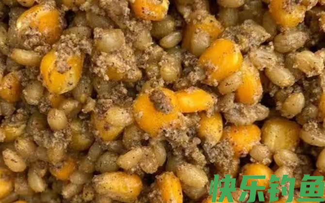 玉米钓鱼用生的还是熟的？(图4)
