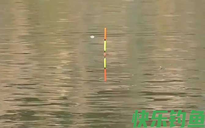 钓鱼