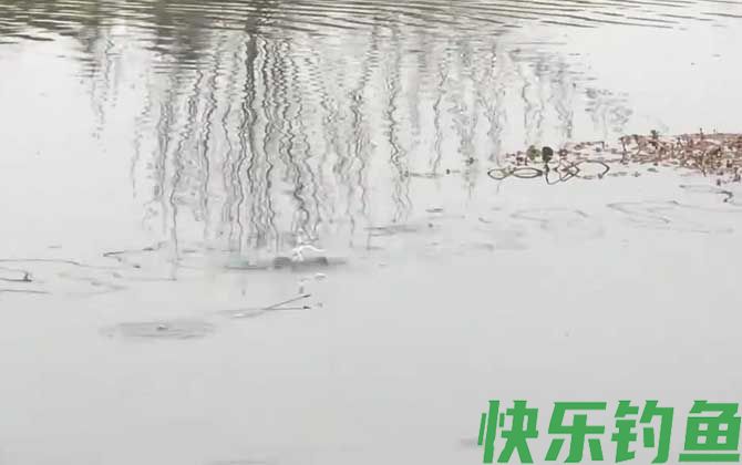 二月钓鱼