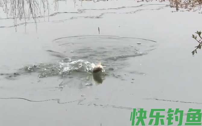 二月钓鱼