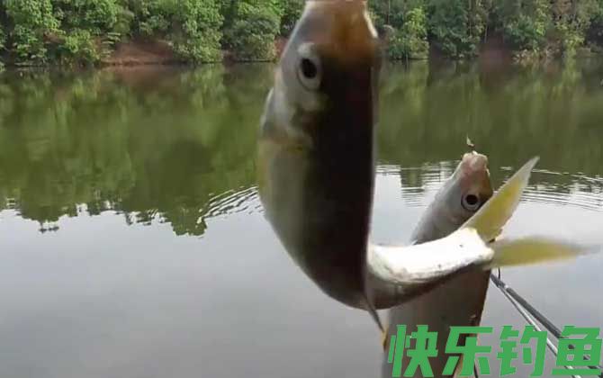 三月钓鱼