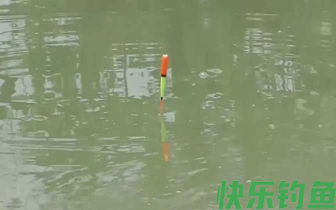 初夏钓鱼