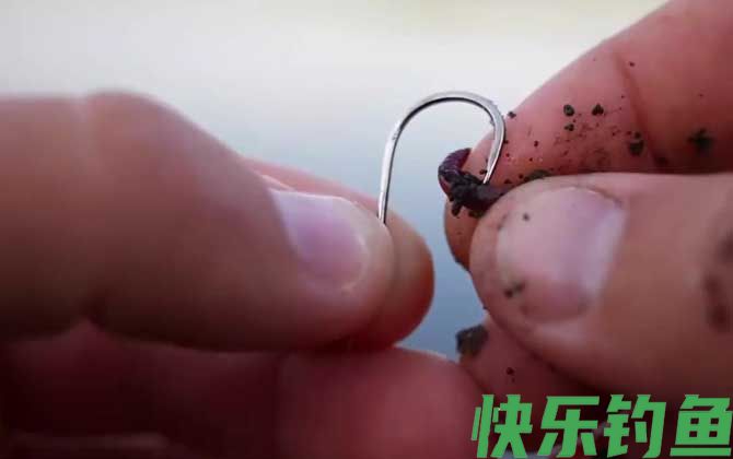 蚯蚓钓鱼