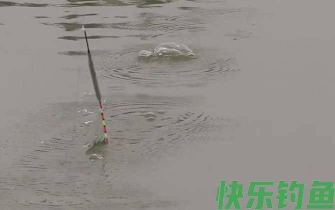 春季钓鱼