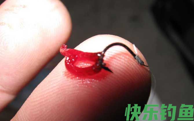 红虫钓鱼