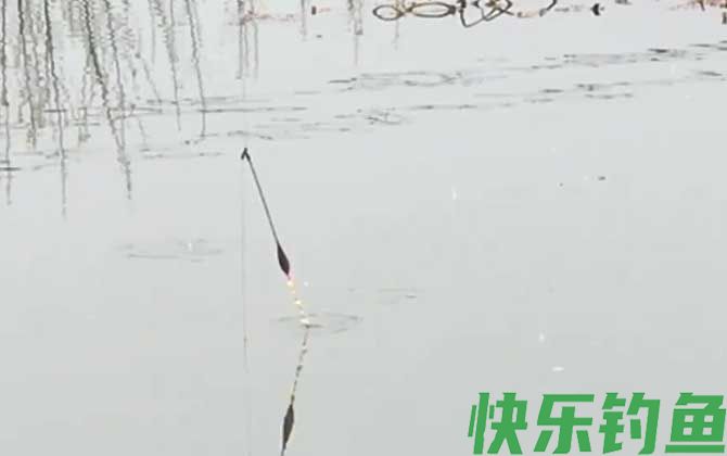 开春钓鱼