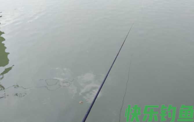 钓鲫鱼