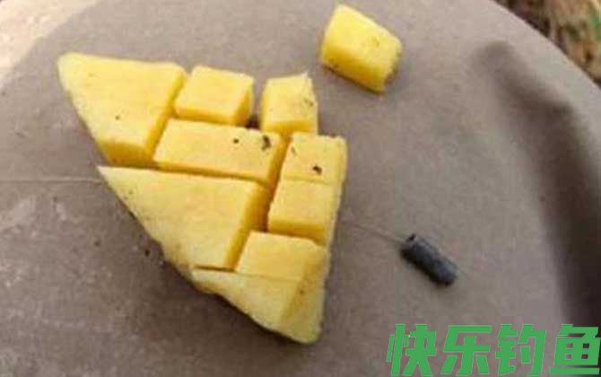 红薯钓鱼