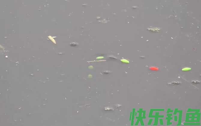 七星漂