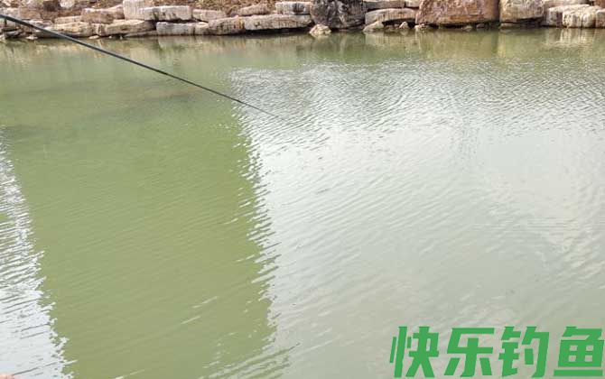 初春钓鲫鱼技巧大全(图3) 初春钓鲫鱼技巧大全(图3)