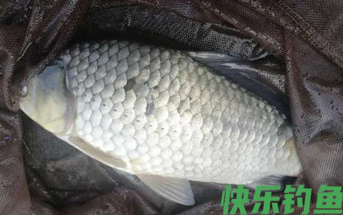 夏季钓鱼
