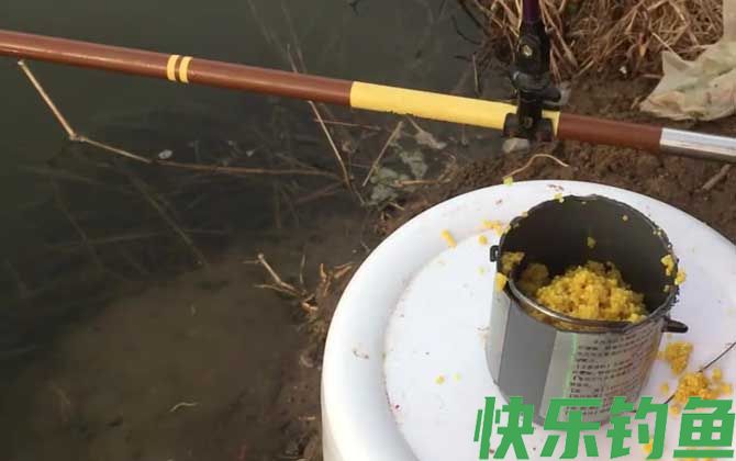 打窝
