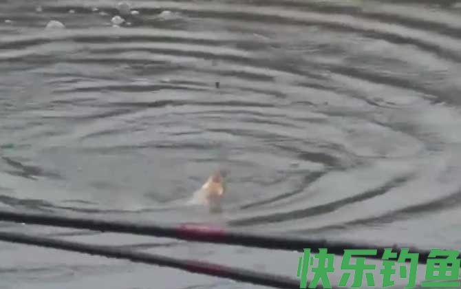 水库钓鱼