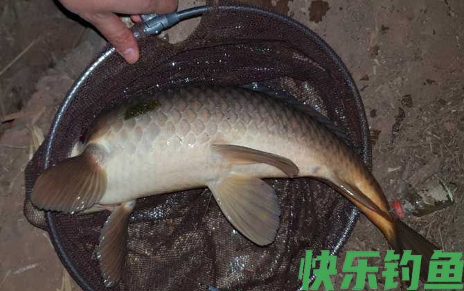 水库钓鱼