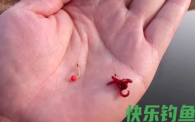 红虫野钓调漂最佳方法(图4) 红虫野钓调漂最佳方法(图4)
