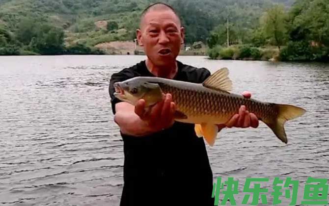 徐清华