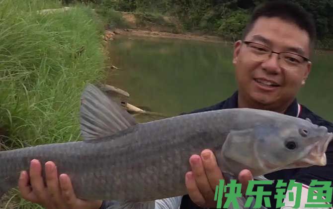 刘涛