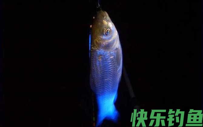 夜钓是什么意思？