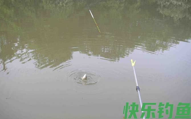 传统钓和台钓哪个好？