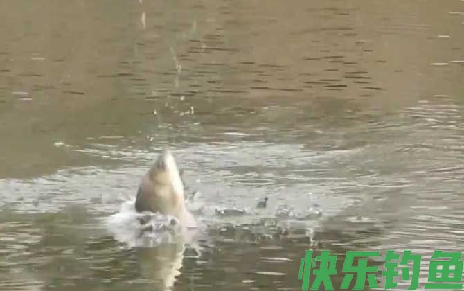 钓鱼空军什么意思？