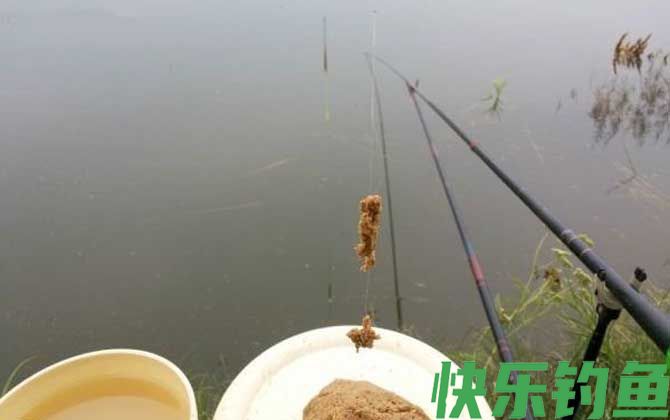 黑坑偷驴是什么意思？