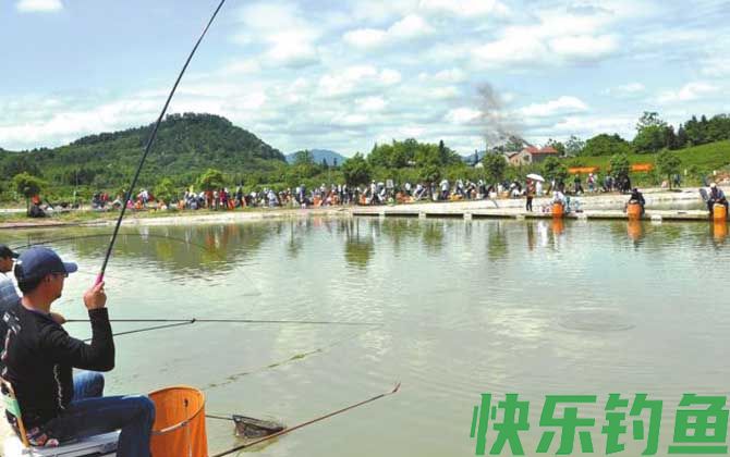 台钓是什么钓法?