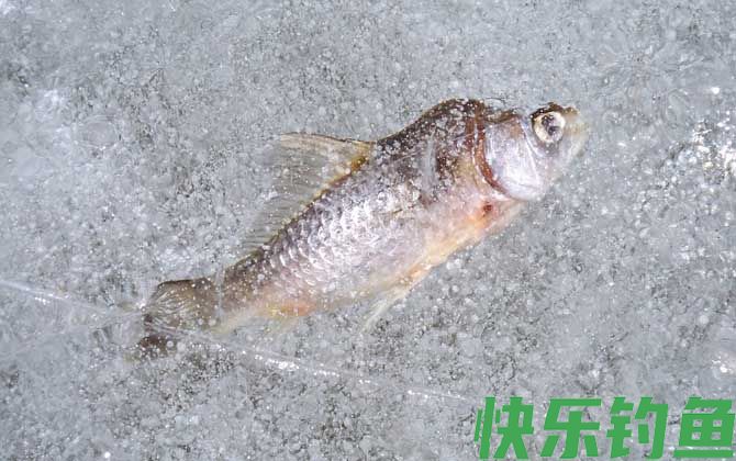 冰钓是什么意思？