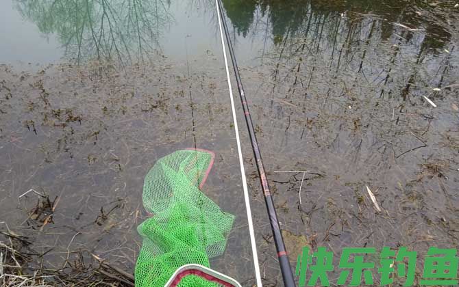 为什么台钓的人多路亚的人少？