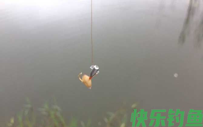 传统钓