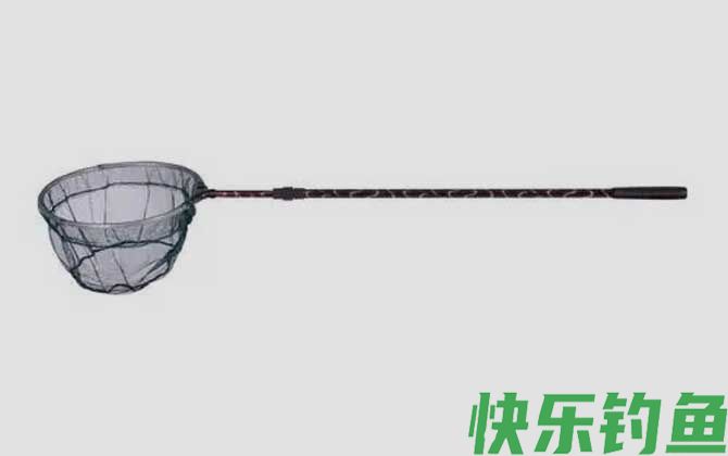 抄网