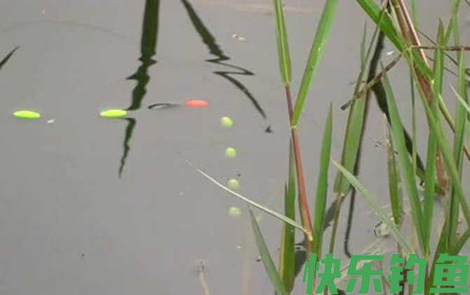 野钓用七星漂好还是立漂好