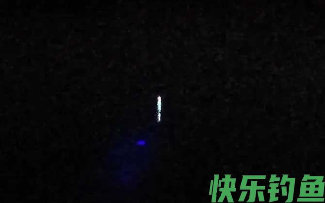 夜钓用什么颜色灯光好