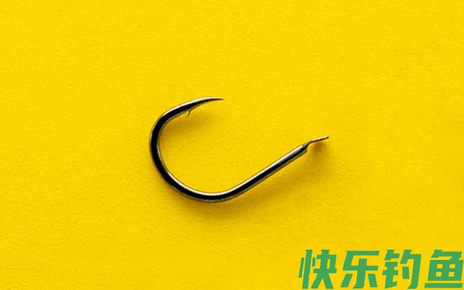 小矶钩和伊势尼钩型对比