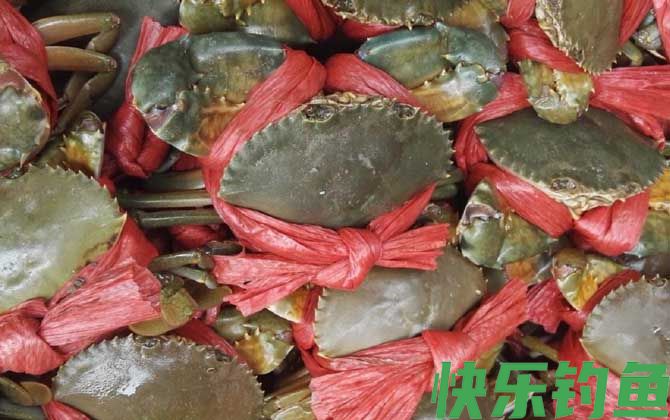 青蟹和大闸蟹哪个好吃