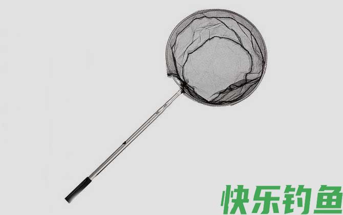抄网
