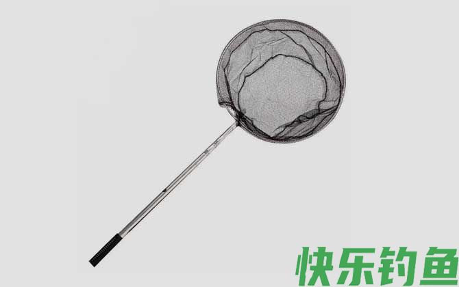 抄网