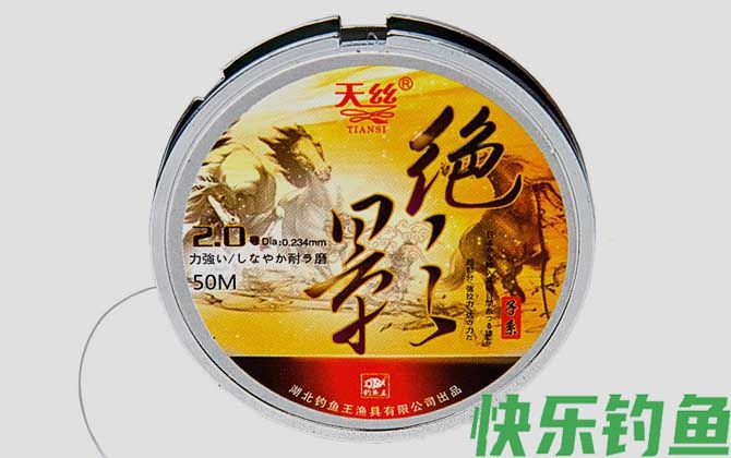 钓鱼王