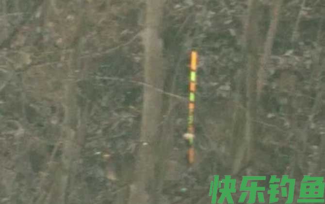 野钓鲫鱼用什么漂型的漂(图6) 野钓鲫鱼用什么漂型的漂(图6)