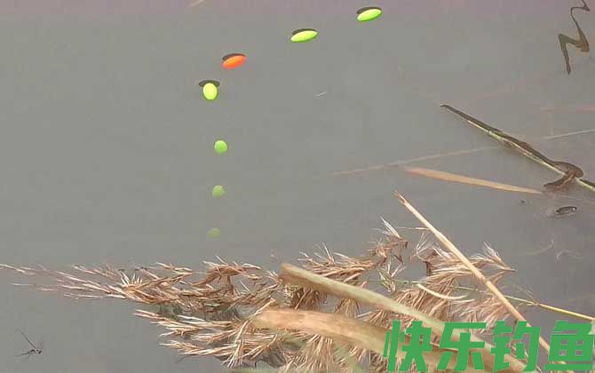 冬季钓鱼用七星漂好还是立漂好(图2) 冬季钓鱼用七星漂好还是立漂好(图2)