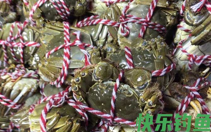大闸蟹